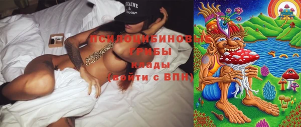 дурь Лиски
